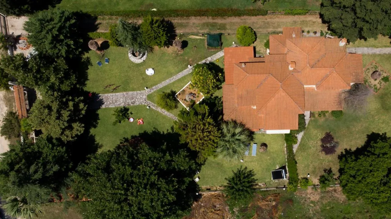 Villa Palmera Ierissos Greece